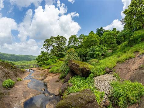 Sanjay Gandhi National Park - En grönskande oas mitt i livliga Mumbai!