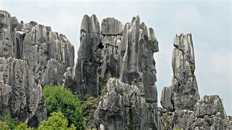 Stone Forest Enchanting Natural Wonders and Majestic Limestone Formations!