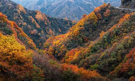 Wangjiaping Scenic Area Enchanting Mountain Views and Ancient Cultural Heritage!