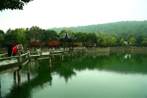 Wangshan Park: Utsiktsplats med historiska influenser och grönskande natur!