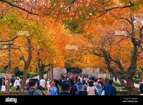 Zhongshan Scenic Area - En Oas Av Historia Och Naturlig Skönhet!